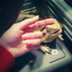 Image for article titled A Look Inside Japan's Reptile Cafes
